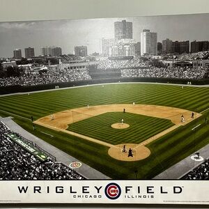Cubs photo